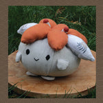 Regular Auplom - Jun 潤