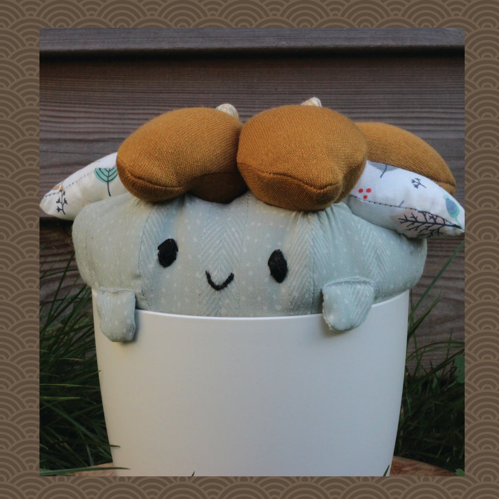 Regular Auplom - Maika 舞花