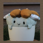 Regular Auplom - Maika 舞花