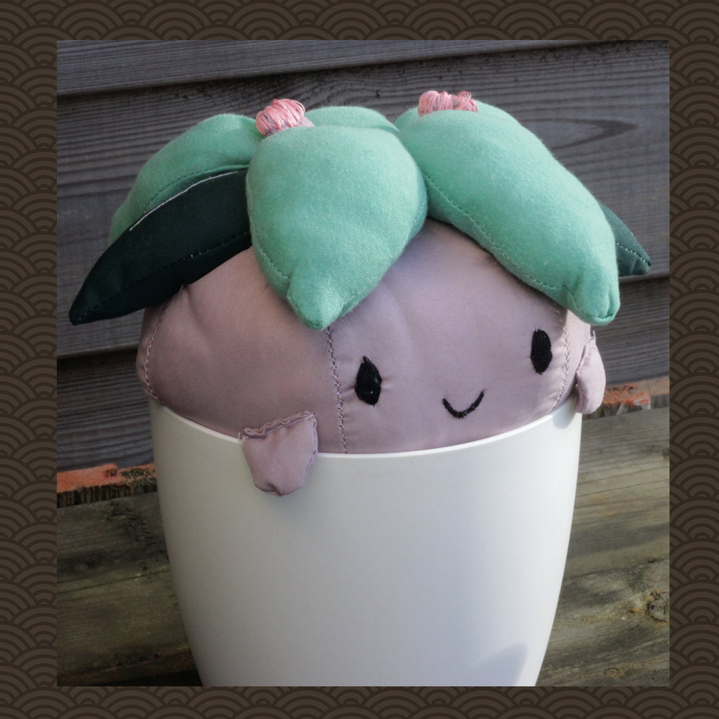 Regular Wiplom - Softy