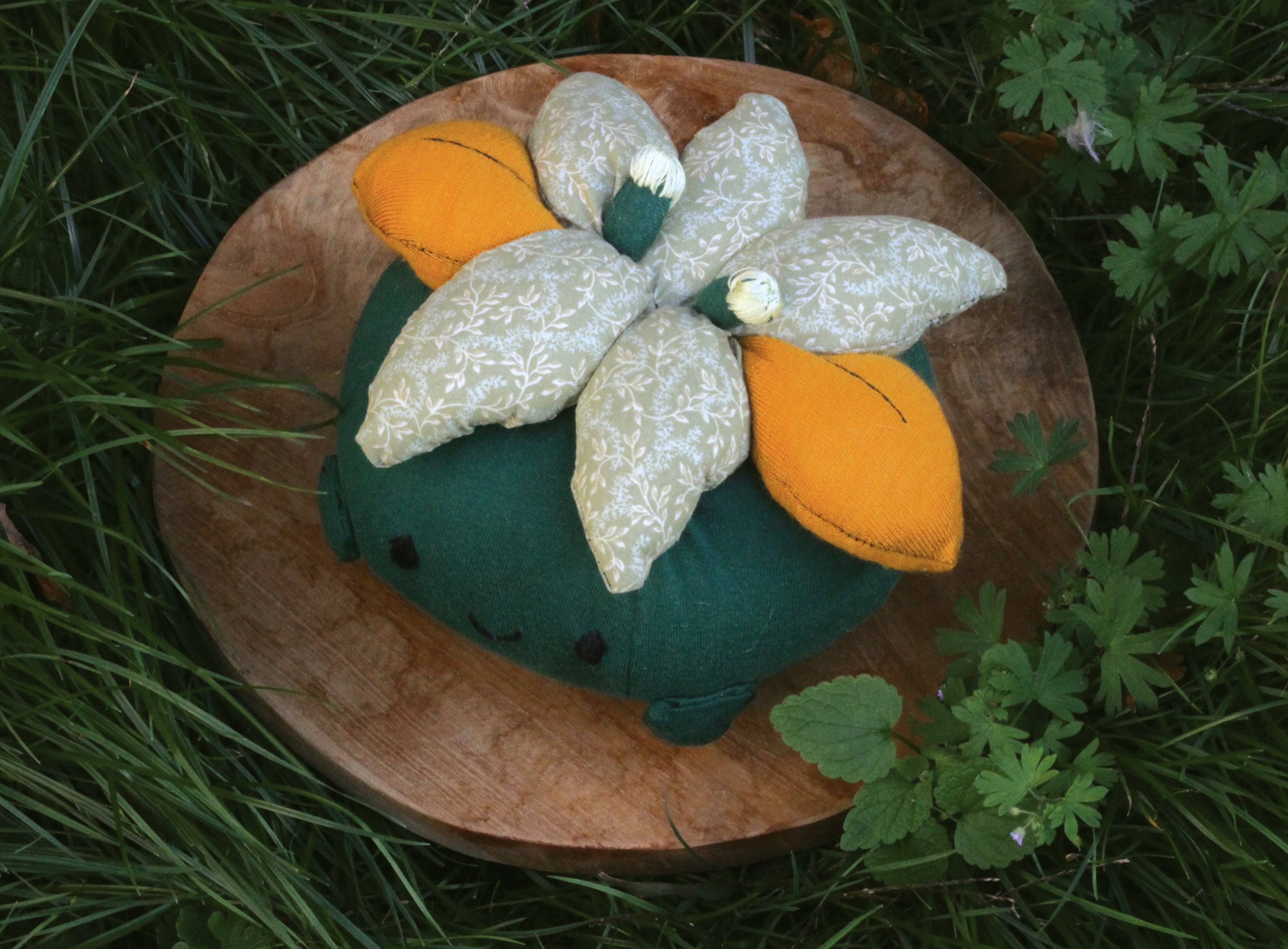 Regular Springplom - Hiroe 宏恵