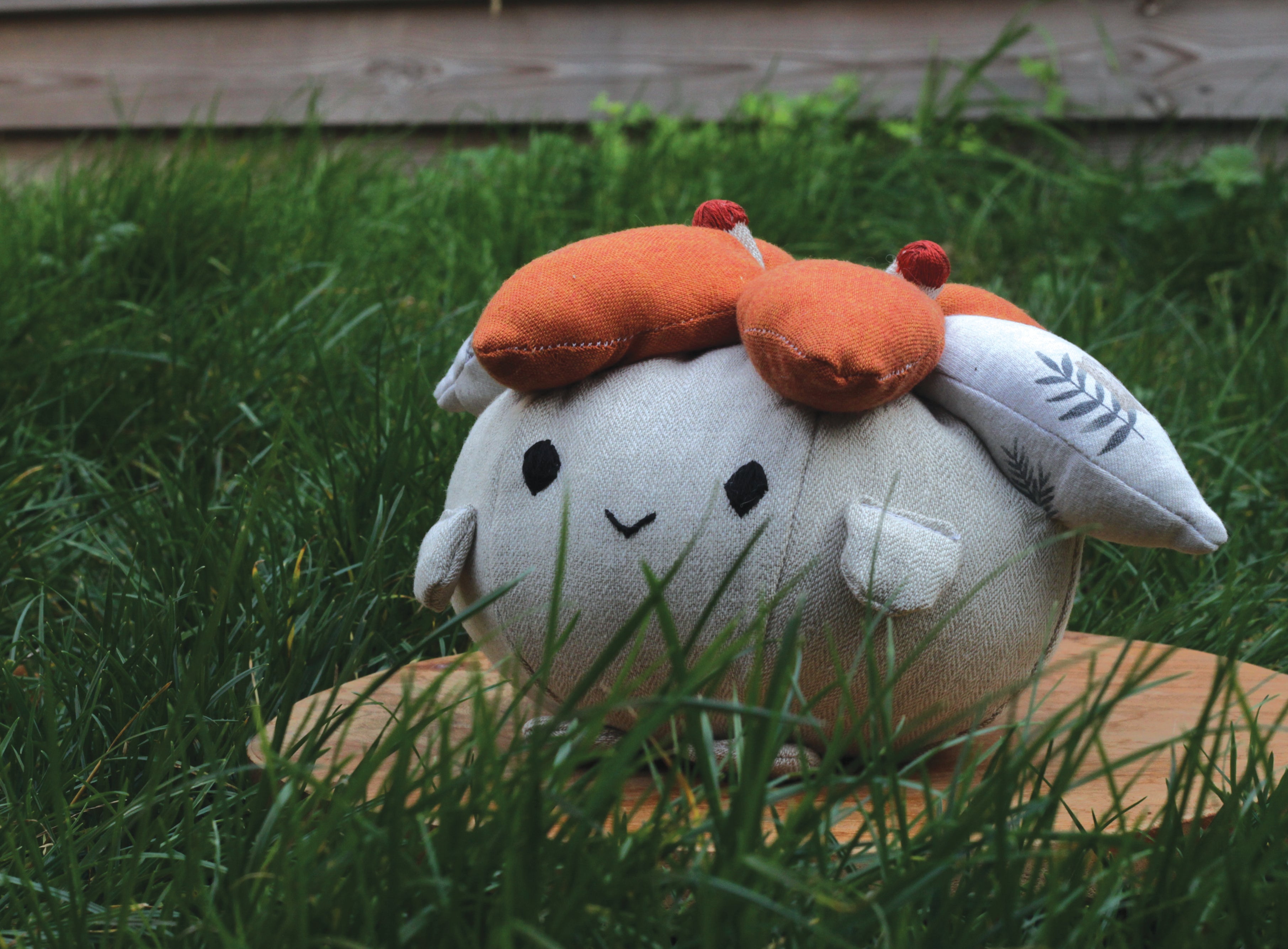 Regular Auplom - Jun 潤