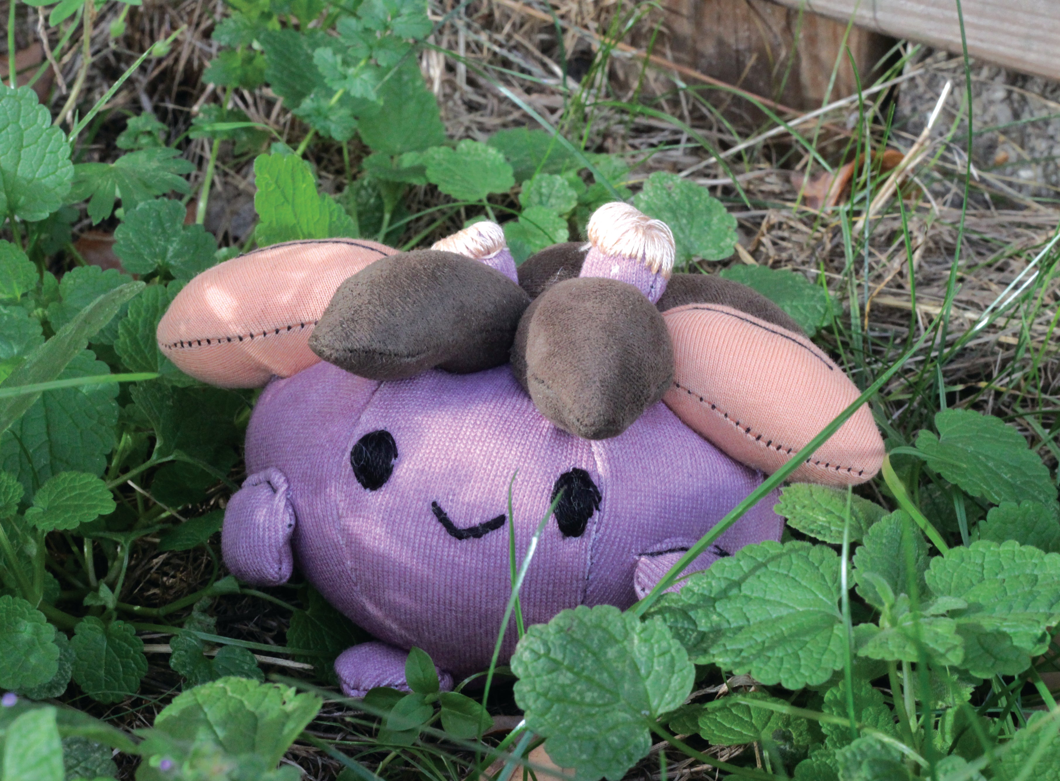 Small Springplom - Neuro