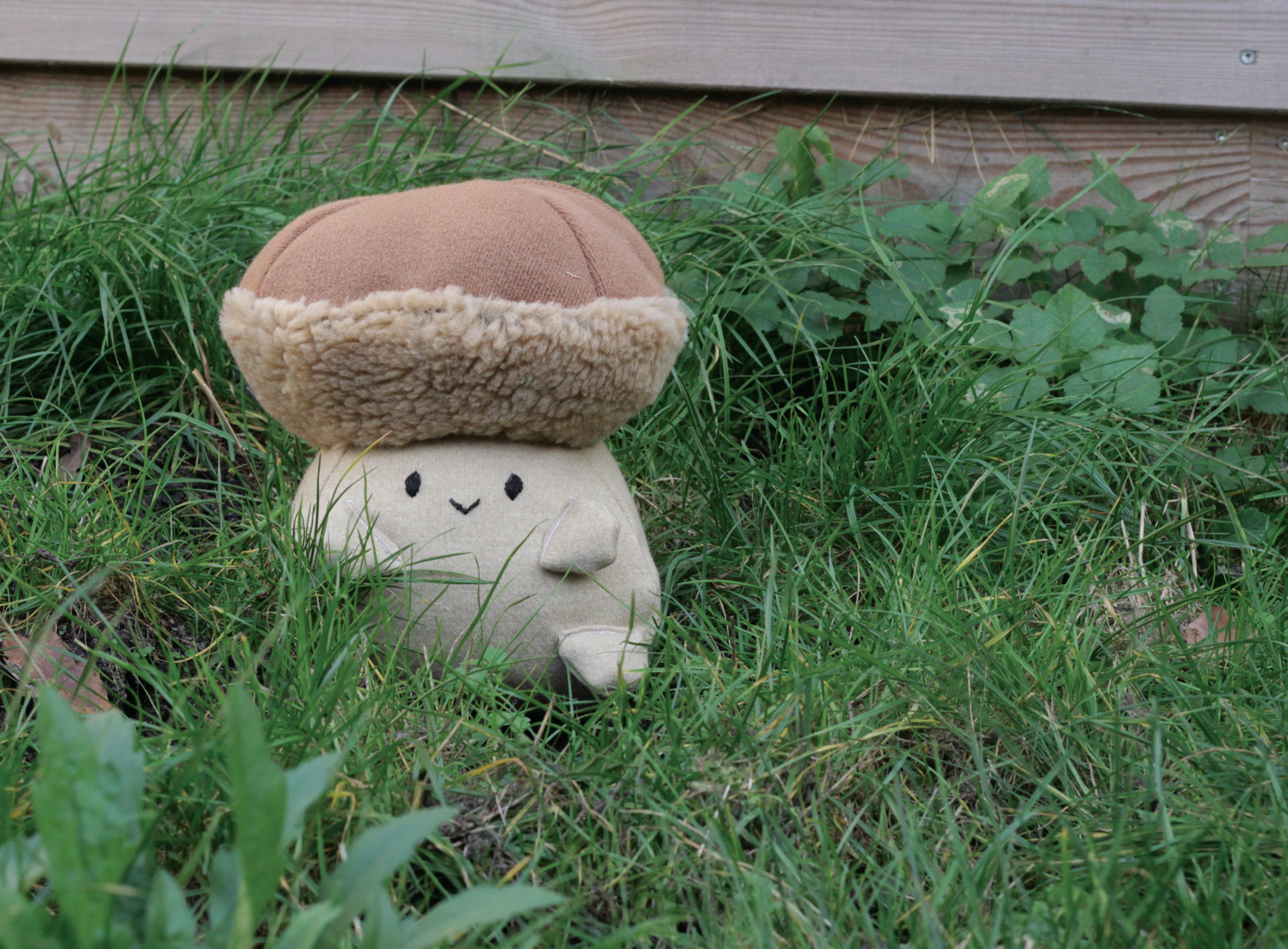 Regular Funplom - Porcini 松茸